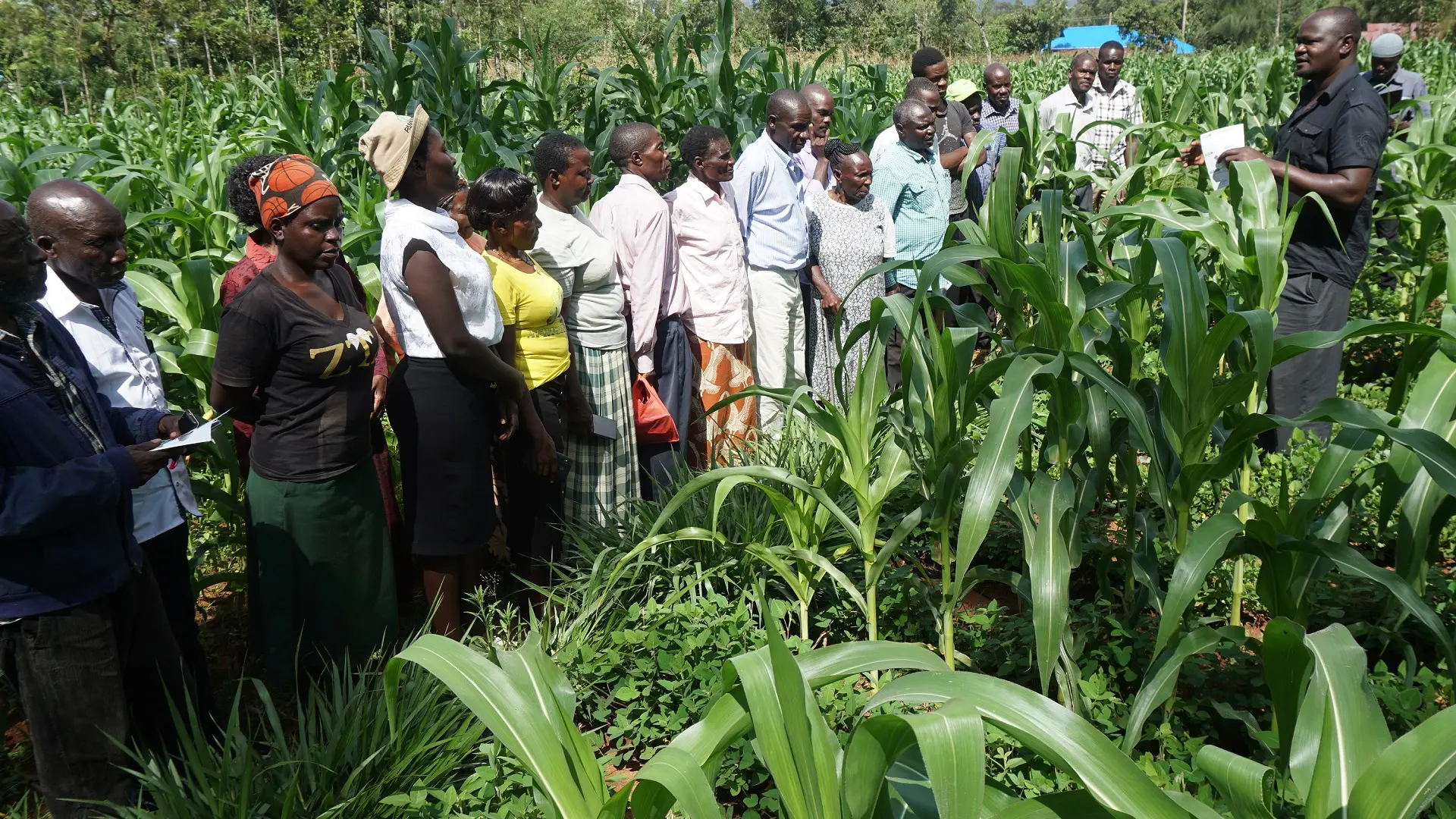 Agroecological Innovation