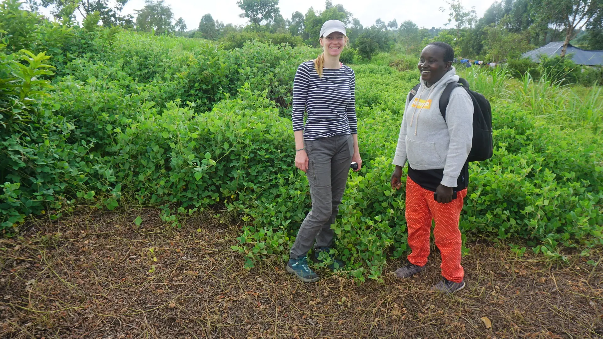 Sustainable Agriculture